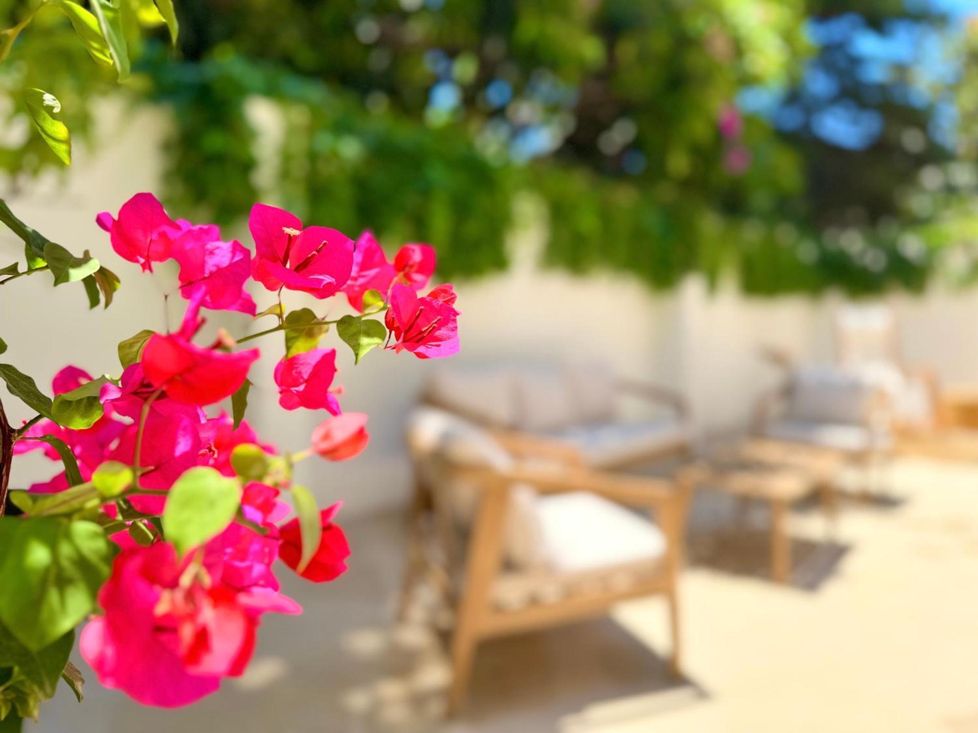 Carbone XXI Bed & Breakfast Catania Bagian luar foto